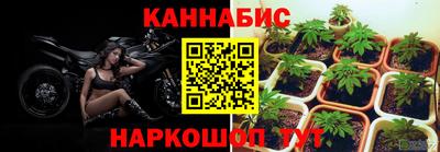 индика Кизляр