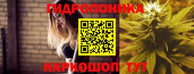 индика Кизляр