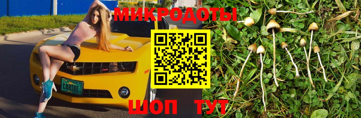 Галлюциногенные грибы GOLDEN TEACHER  Псилоцибиновые грибы Magic Shrooms  Вход с VPN  хочу   Алатырь 
